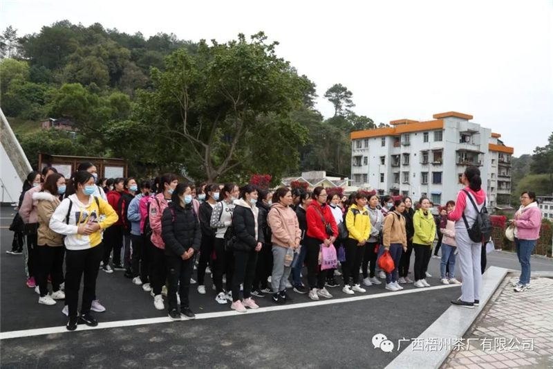 微信圖片_20210309085303_副本.jpg 微信圖片_20210309085303_副本.jpg